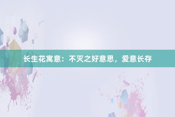 长生花寓意：不灭之好意思，爱意长存